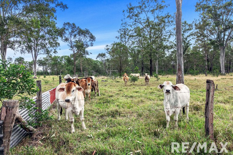 Photo - 122 Roberts Road South, Torbanlea QLD 4662 - Image 7