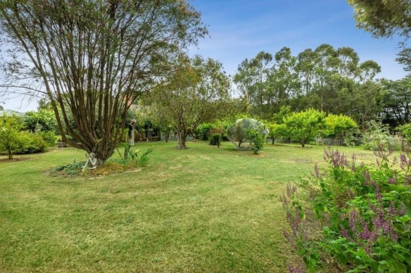 Photo - 1220 Birregurra - Deans Marsh Road, Deans Marsh VIC 3235 - Image 26