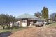 Photo - 1220 Caddigat Road, Adaminaby NSW 2629 - Image 12