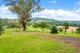 Photo - 1223 Fosterton Road, Fosterton Via , Dungog NSW 2420 - Image 15