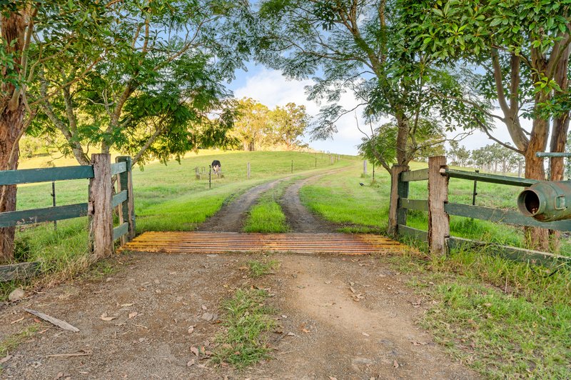 Photo - 1223 Fosterton Road, Fosterton Via , Dungog NSW 2420 - Image 18