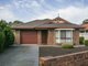 Photo - 1/226 Diagonal Road, Warradale SA 5046 - Image 2