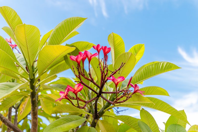 Photo - 12/28 Rushton Street, Burswood WA 6100 - Image 12