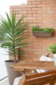 Photo - 12/28 Westminster Avenue, Dee Why NSW 2099 - Image 7