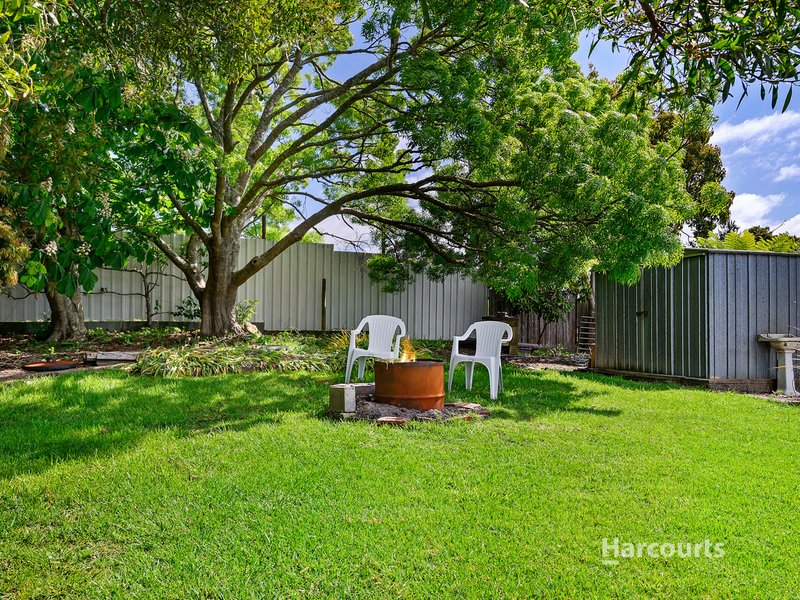 Photo - 1229 Murchison Highway, Elliott TAS 7325 - Image 15