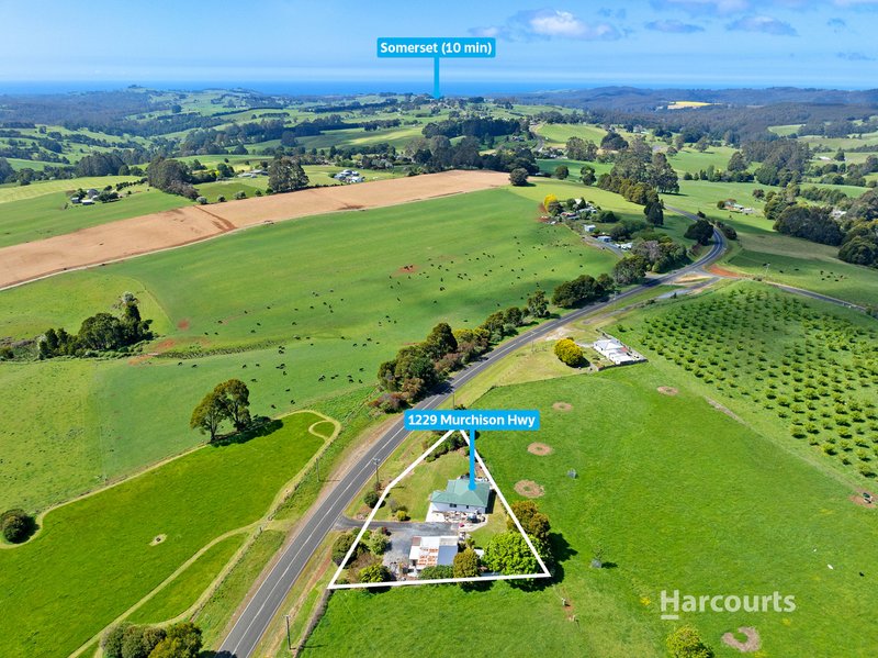 Photo - 1229 Murchison Highway, Elliott TAS 7325 - Image 16