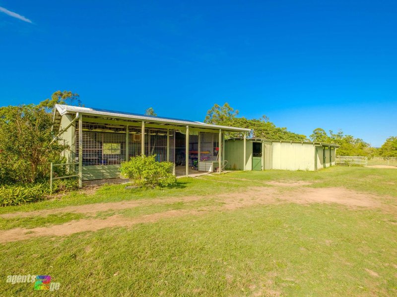 Photo - 123 Allen Road, Chatsworth QLD 4570 - Image 21