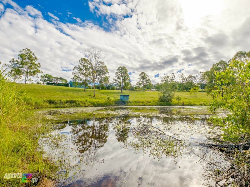 Photo - 123 Allen Road, Chatsworth QLD 4570 - Image 23