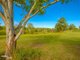 Photo - 123 Allen Road, Chatsworth QLD 4570 - Image 26