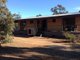 Photo - 123 Beralston Road, Gundaroo NSW 2620 - Image 1