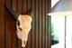 Photo - 123 Cooyar Street, Noosa Heads QLD 4567 - Image 2