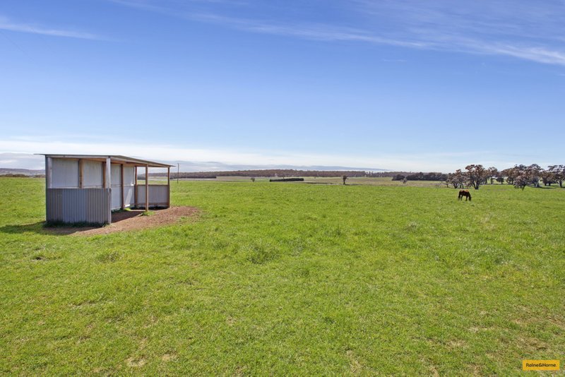 Photo - 123 Gorham Road, Crookwell NSW 2583 - Image 18