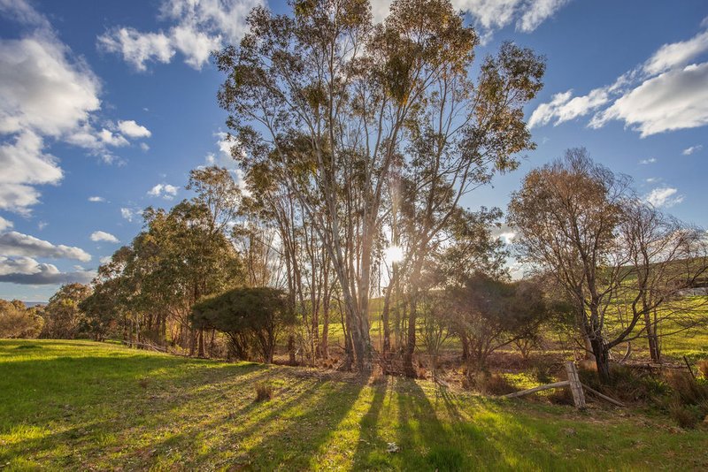 Photo - 123 Hibberson Road, Huon VIC 3695 - Image 29