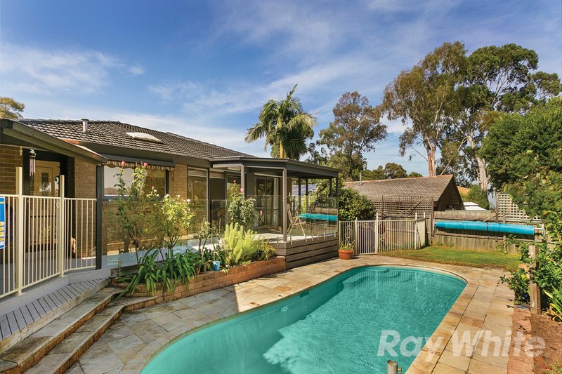 Photo - 123 Lum Road, Wheelers Hill VIC 3150 - Image 9