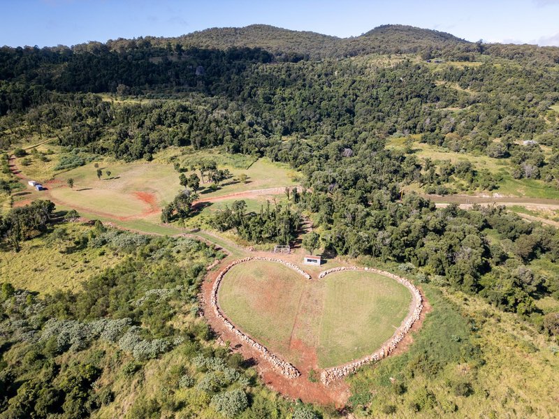Photo - 123 Lutter Road, Charlwood QLD 4309 - Image 6