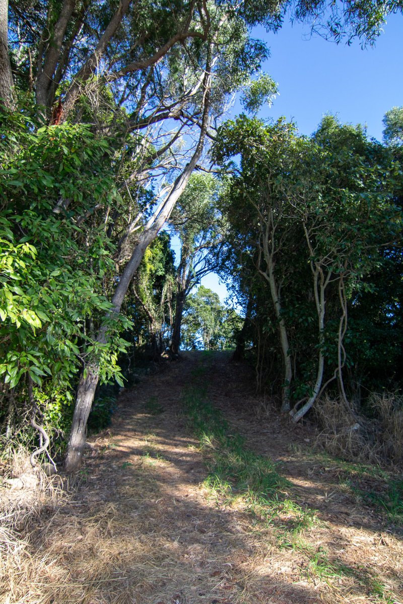 Photo - 123 Lutter Road, Charlwood QLD 4309 - Image 27