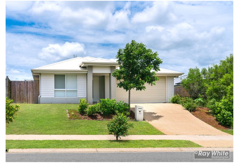 123 Springfield Drive, Norman Gardens QLD 4701