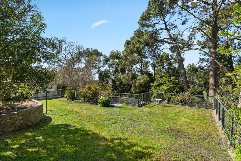 Photo - 123 Upper Sturt Road, Upper Sturt SA 5156 - Image 24