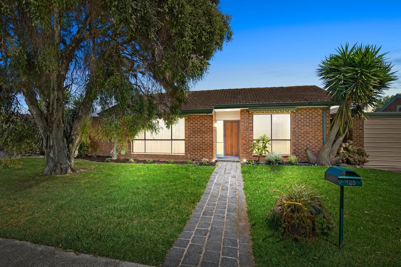 Photo - 123 Wilson Street, Cheltenham VIC 3192 - Image 10