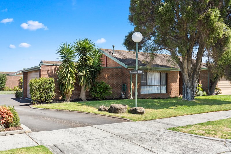 Photo - 123 Wilson Street, Cheltenham VIC 3192 - Image 12