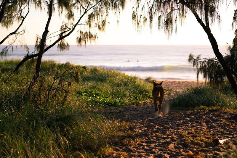 Photo - 123/151-153 Mudjimba Beach Road, Mudjimba QLD 4564 - Image 26