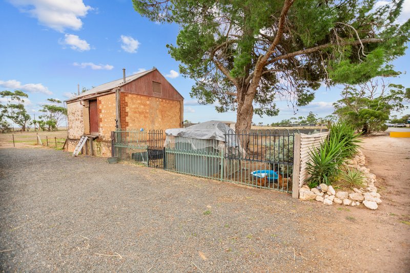 Photo - 1234 Goldney Road, Avon SA 5501 - Image 21