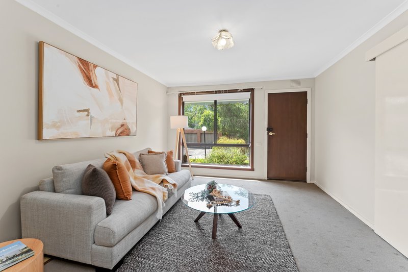 Photo - 12/37 Williams Road, Blackburn VIC 3130 - Image 2