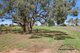 Photo - 1238 Moloneys Road, Wallup VIC 3401 - Image 30