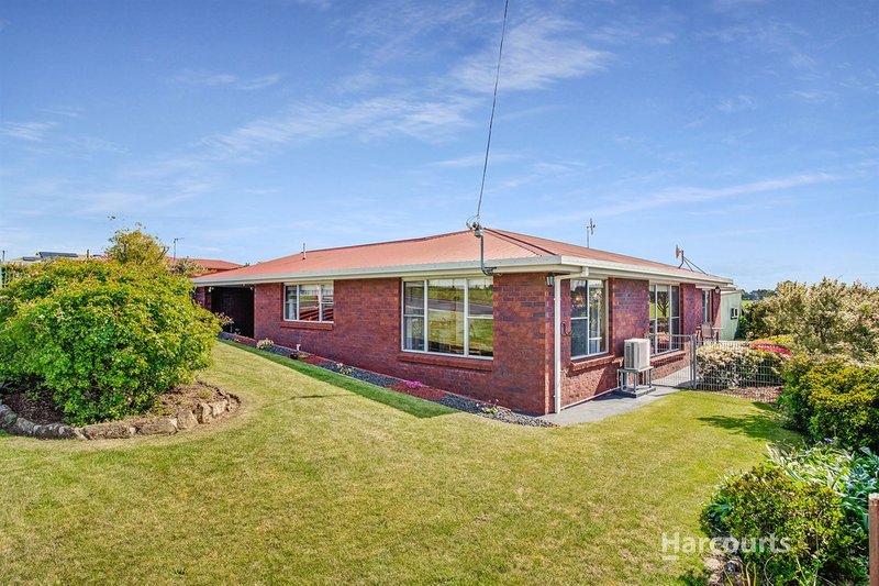 1238 West Mooreville Road, Ridgley TAS 7321 Real Estate Industry Partners