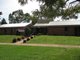 Photo - 124 Carthage St , Tamworth NSW 2340 - Image 4