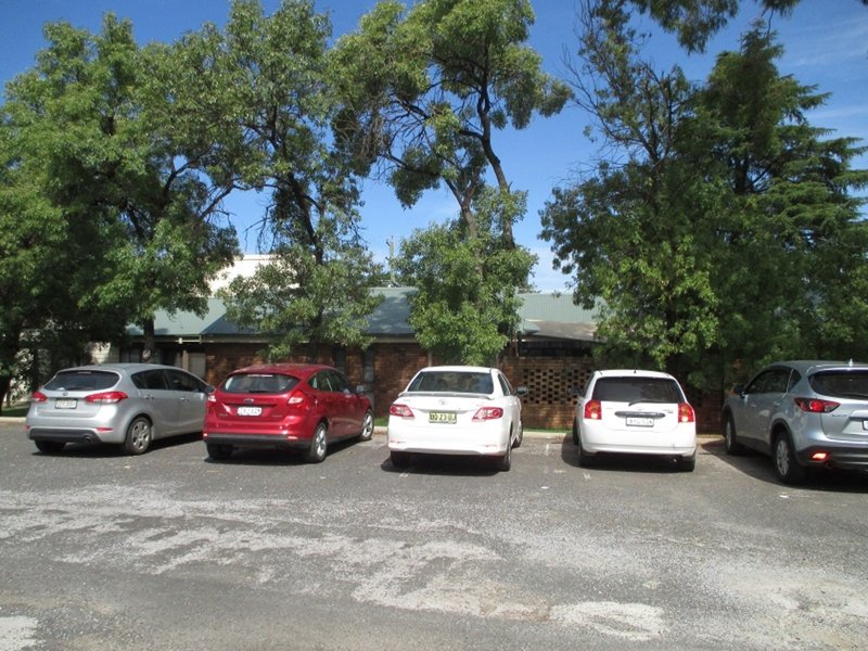 Photo - 124 Carthage St , Tamworth NSW 2340 - Image 5