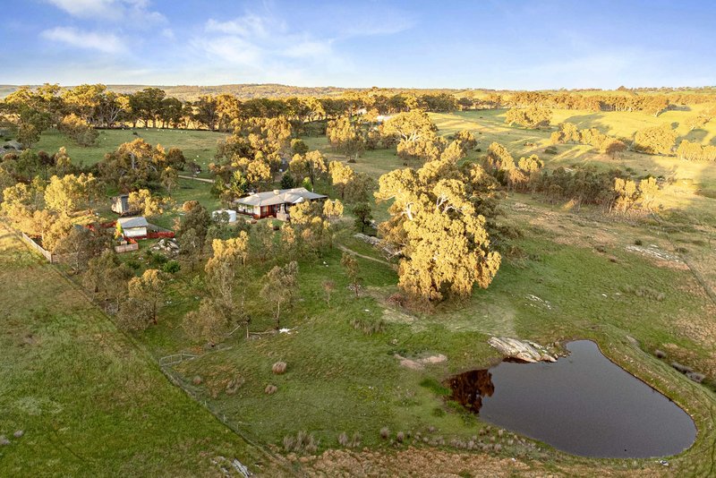 Photo - 124 Corryton Park Road, Pewsey Vale SA 5351 - Image 28