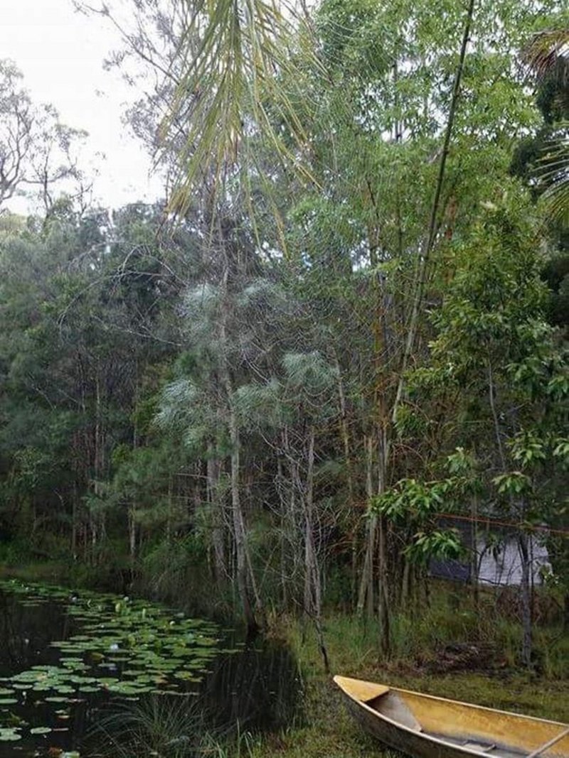 Photo - 124 Heron Road, Old Bar NSW 2430 - Image 8