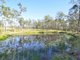 Photo - 124 John Lane Road, Yarravel NSW 2440 - Image 6