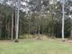 Photo - 124 Neill Road, Mooloolah Valley QLD 4553 - Image 3