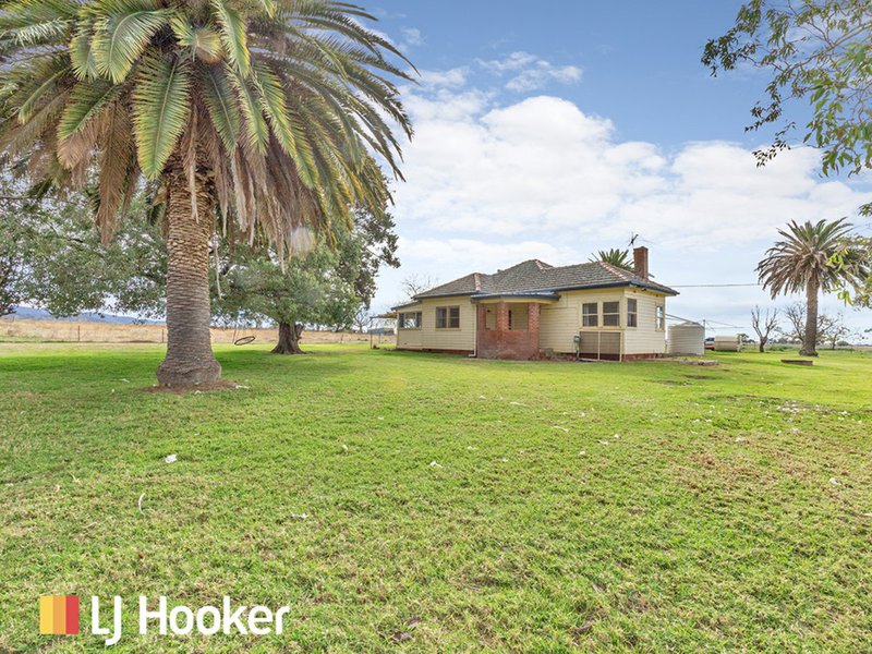 Photo - 124 Sweeneys Lane, Gowrie NSW 2340 - Image 1