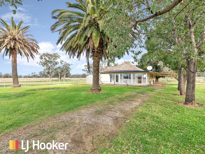 Photo - 124 Sweeneys Lane, Gowrie NSW 2340 - Image 11