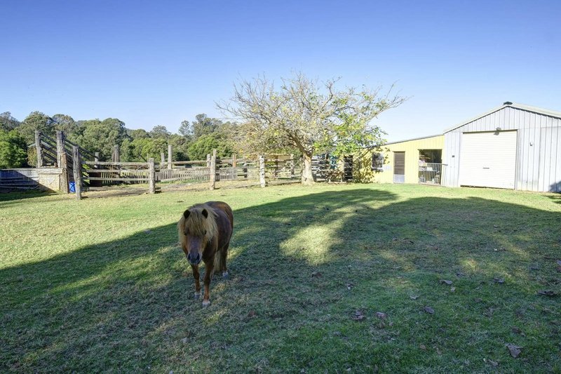 Photo - 124 Wrights Lane, Dyers Crossing NSW 2429 - Image 14