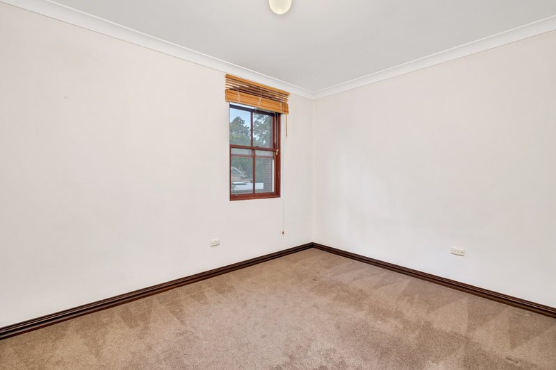 Photo - 1/242a St Johns Road, Forest Lodge NSW 2037 - Image 6