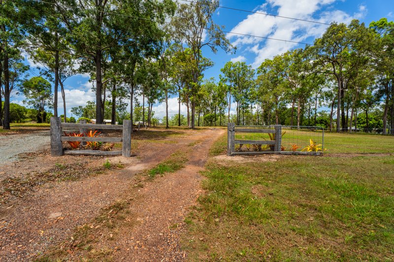 Photo - 1245 Bidwill Road, Magnolia QLD 4650 - Image 11