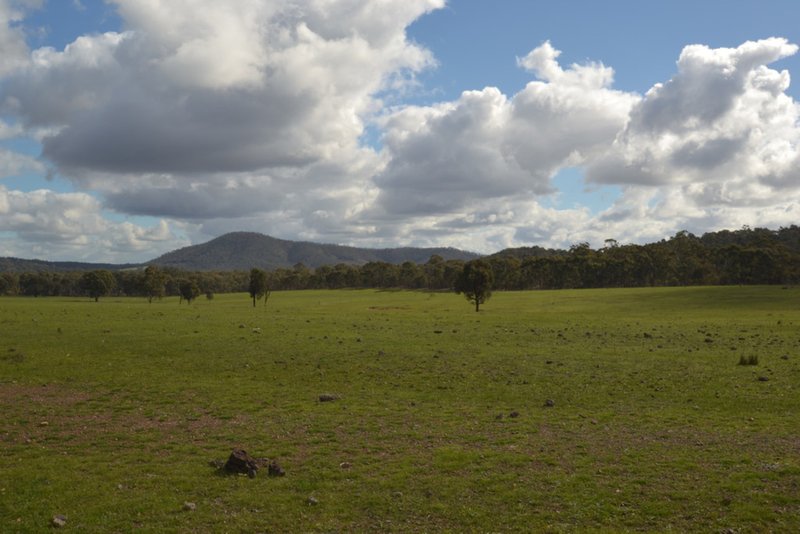 Photo - 1245 Seymour-Tooborac Road, Hilldene VIC 3660 - Image 9