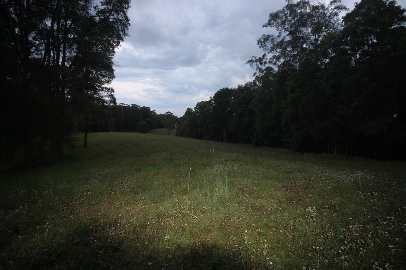 Photo - 125 Hidden Valley Road, North Arm QLD 4561 - Image 23