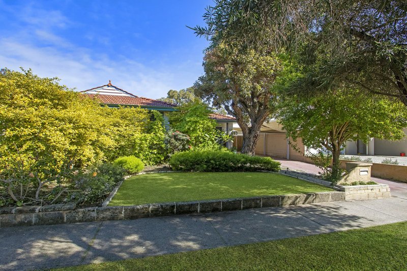 Photo - 125 Paramatta Rd , Doubleview WA 6018 - Image 5