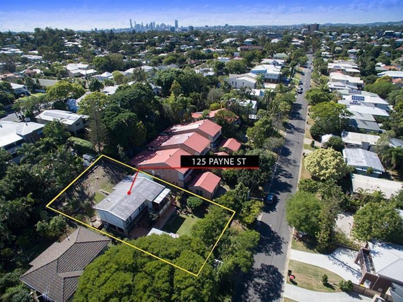 Photo - 125 Payne Street, Indooroopilly QLD 4068 - Image 1