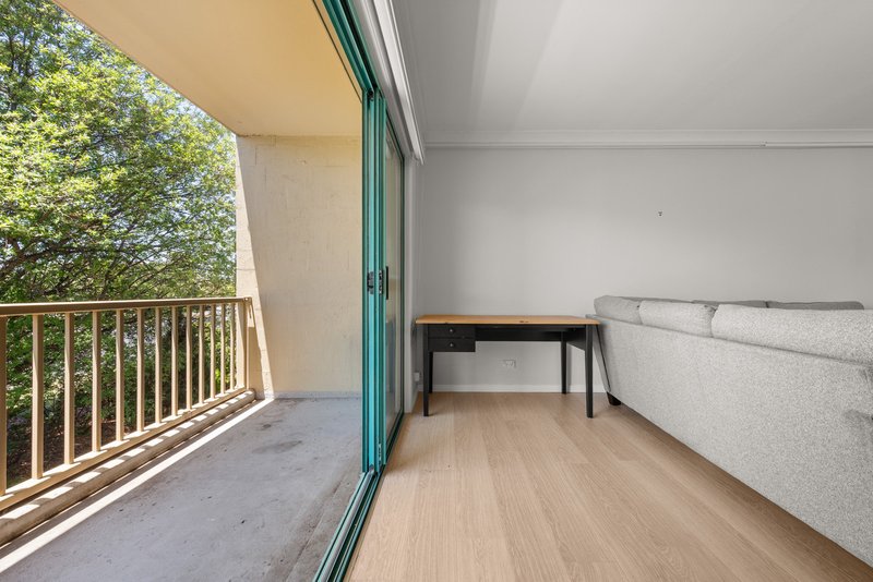 Photo - 12/53 Mcmillan Crescent, Griffith ACT 2603 - Image 6