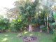 Photo - 1257 Bribie Island Rd , Ningi QLD 4511 - Image 3