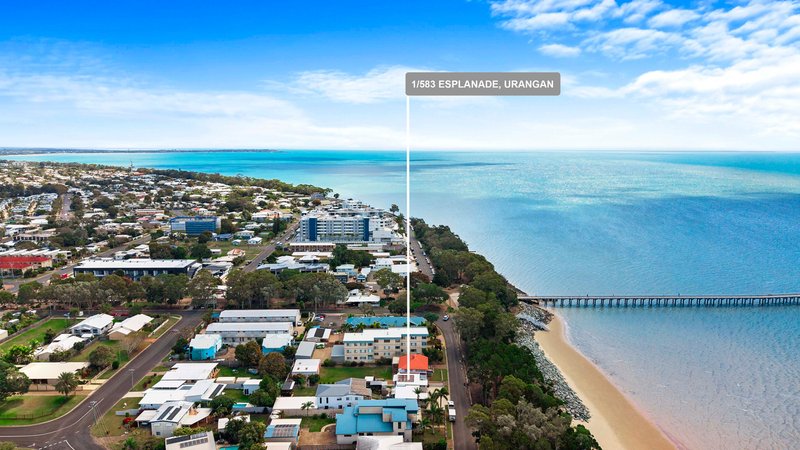 Photo - 1&2/583 Esplanade , Urangan QLD 4655 - Image 26