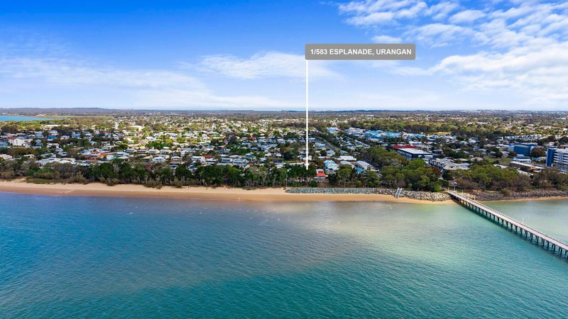 Photo - 1&2/583 Esplanade , Urangan QLD 4655 - Image 27