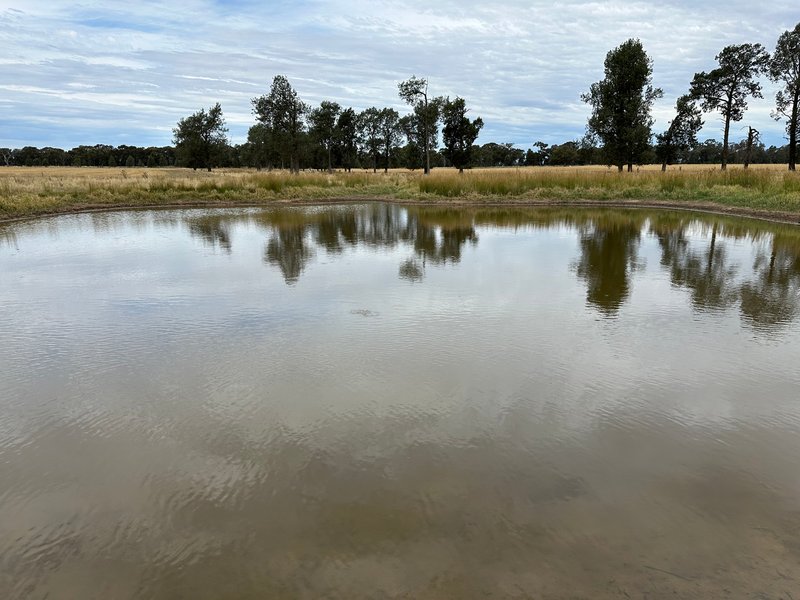 Photo - 126-184 Henty Walla Road, Henty NSW 2658 - Image 3