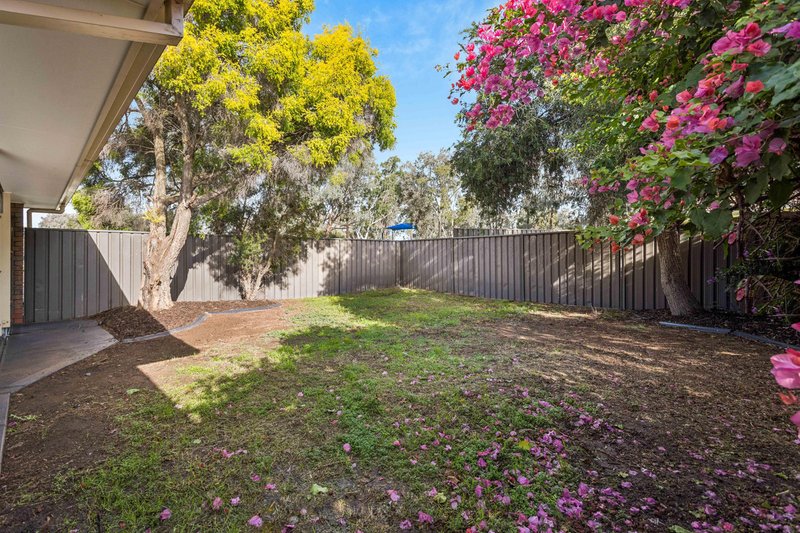 Photo - 126 Liberator Drive, Paralowie SA 5108 - Image 18